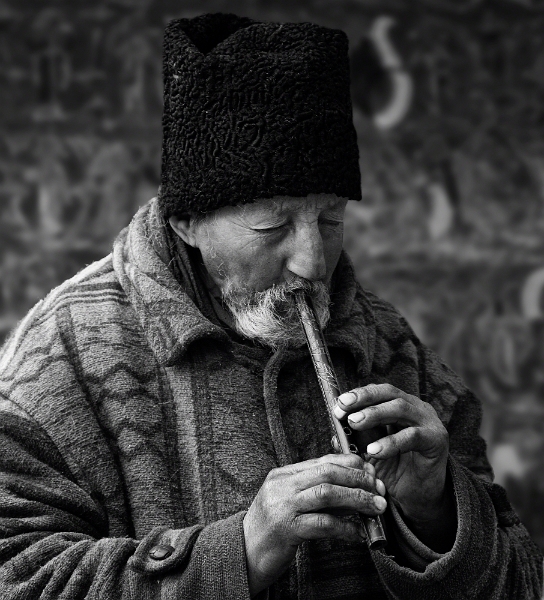 Mihai Zegrea - Doinind.jpg